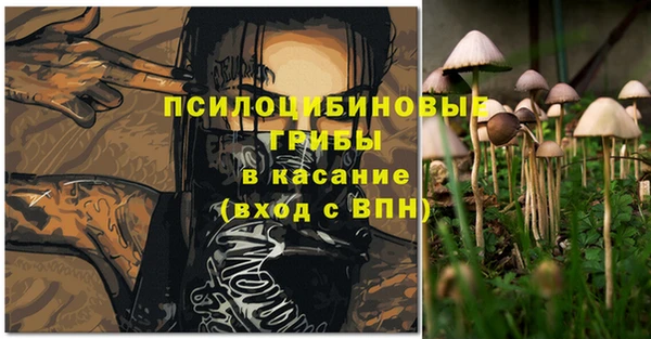 mdpv Ладушкин