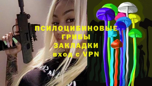 ешки Лагань