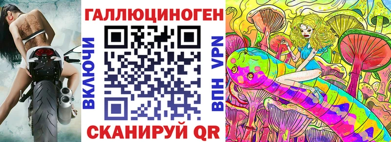 kraken tor  Хотьково  Псилоцибиновые грибы Psilocybe 